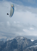 Flying in Grinderwald